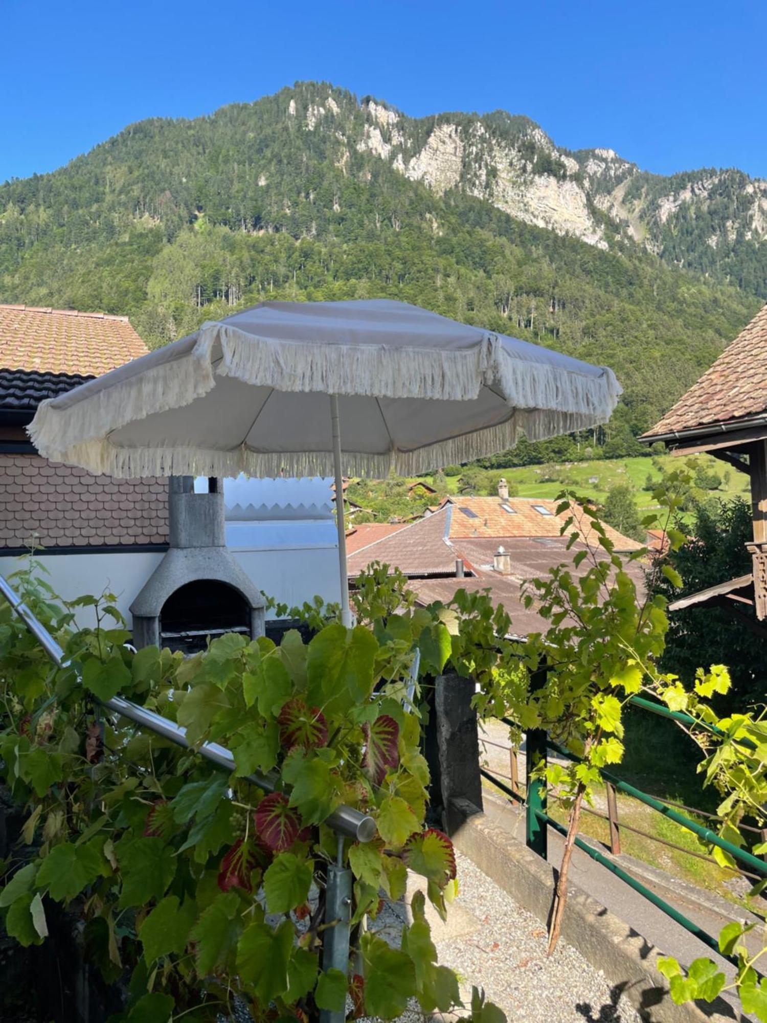 Studio In Alps By Apartments Capricorn Gsteigwiler Bagian luar foto